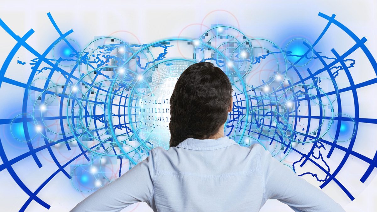 Web Application Security Assessment Web Application Security Testing